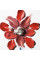 Помада для губ рідка "Променистий глянець"