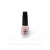 колір 01 
